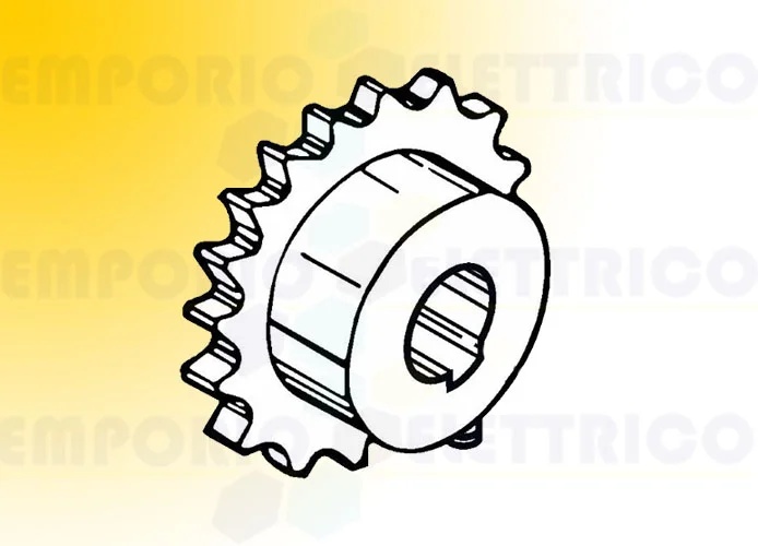 fadini pignone semplice 1/2" z20 2055l