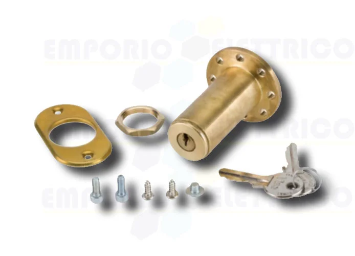 faac sblocco esterno a chiave personalizzata ( > 15 mm ) 424560101/36